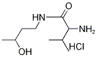 2-Amino-N-(3-hydroxybutyl)-3-methylbutanamidehydrochloride 结构式