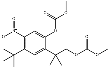 Carbonic acid, 4-(1,1-diMethylethyl)-2-[2-[(Methoxycarbonyl)oxy]-1,1-diMethylethyl]-5-nitrophenyl Methyl ester,1246213-36-4,结构式