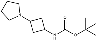 1246739-82-1 tert-butyl 3-(pyrrolidin-1-yl)cyclobutylcarbaMate