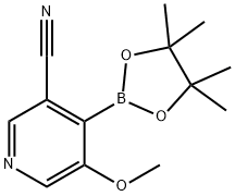 5-甲氧基-4-(4,4,5,5-四甲基-1,3,2-二氧硼杂环戊烷-2-基)烟腈,1247726-68-6,结构式