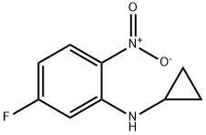 1248276-34-7 N-シクロプロピル-5-フルオロ-2-ニトロアニリン