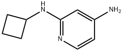 N2-cyclobutylpyridine-2,4-diamine 结构式