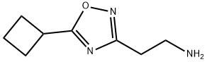 2-(5-cyclobutyl-1,2,4-oxadiazol-3-yl)ethanamine(SALTDATA: HCl) Structure