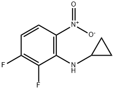 1249882-57-2 N-Cyclopropyl-2,3-difluoro-6-nitroaniline