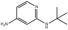 N2-tert-butylpyridine-2,4-diamine 化学構造式