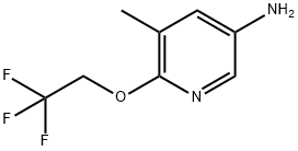 5-Methyl-6-(2,2,2-trifluoroethoxy)pyridin-3-aMine|5-甲基-6-(2,2,2-三氟乙氧基)吡啶-3-胺