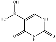 5-dihydroxyboryl-2-thiouracil|