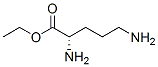 Ornithine, ethyl ester (9CI)|