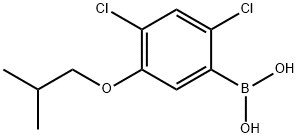 1256346-46-9 2,4-ジクロロ-5-イソブトキシフェニルボロン酸