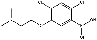 24-二氯-5-(2-(二甲基氨基)乙氧基)苯硼酸, 1256346-48-1, 结构式