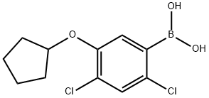 2,4-Dichloro-5-(cyclopentyloxy)phenylboronic acid Structure