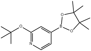2-T-ブトキシピリジン-4-ボロン酸ピナコールエステル 化学構造式