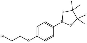 4-(2-Chloro-ethoxy)-phenyl-4,4,5,5-tetraMethyl-1,3,2dioxaborolane Structure