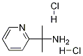 2-(2-Pyridyl)-2-propylamine Dihydrochloride Structure