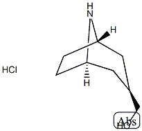 8-Azabicyclo[3.2.1]octane-3-Methanol, hydrochloride (1:1), (3-endo)- Struktur