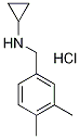 N-Cyclopropyl-3,4-dimethylbenzylamine hydrochloride, 4-(Cyclopropylamino)-o-xylene hydrochloride Structure