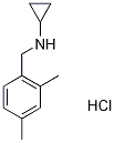 N-Cyclopropyl-2,4-dimethylbenzylamine hydrochloride, 4-(Cyclopropylamino)-m-xylene hydrochloride 结构式