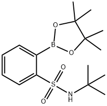 2-叔丁氨基苯磺酸频哪醇酯 结构式