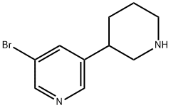 3-broMo-5-(piperidin-3-yl)pyridine Structure