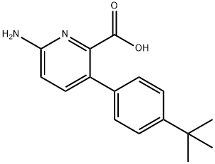 6-Amino-3-(4-t-butylphenyl)picolinic acid|6-氨基-3-(4-叔丁基苯基)吡啶甲酸