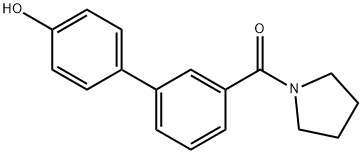 4-(3-Pyrrolidinylcarbonylphenyl)phenol|