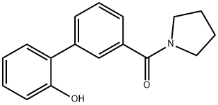 (2'-羟基-[1,1'-联苯]-3-基)(吡咯烷-1-基)甲酮 结构式