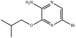 5-broMo-3-(2-Methylpropoxy)pyrazin-2-aMine 化学構造式