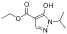 ethyl 5-hydroxy-1-(propan-2-yl)-1H-pyrazole-4-
carboxylate Structure