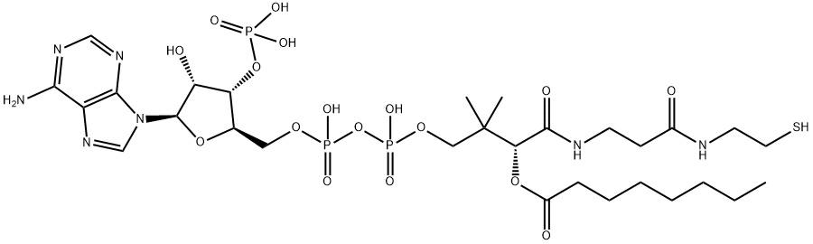 Octanoyl coenzyme A|辛酰辅酶A