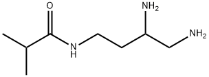 Propanamide,  N-(3,4-diaminobutyl)-2-methyl-|