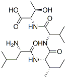 leucyl-isoleucyl-valyl-threonine binding protein Structure