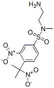 N-(2-aminoethyl)-N-methyl-3-nitro-4-(1-methyl-1-nitroethyl)benzenesulfonamide Struktur