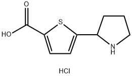 1269054-05-8 5-吡咯烷-2-基噻吩-2-羧酸盐酸盐