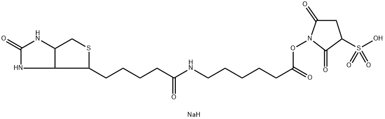 SULPHOSUCCINIMIDYL-6-(BIOTINAMIDO)HEXANOATE Structure