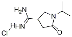 1-异丙基-2-氧代吡咯烷-4-甲脒盐酸盐, 1272756-01-0, 结构式