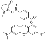 6-CARBOXYTETRAMETHYLRHODAMINE N-HYDROXYSUCCINIMIDE ESTER Struktur