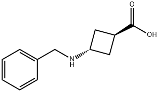 反式-3-(苄氨基)环丁烷甲酸 结构式