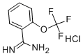 127979-76-4 2-(トリフルオロメトキシ)ベンズアミジン塩酸塩