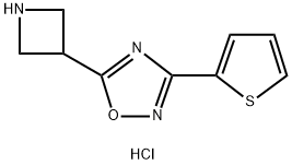 5-Azetidin-3-yl-3-(2-thienyl)-1,2,4-oxadiazole hydrochloride 化学構造式
