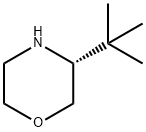 (R)-3-(tert-butyl)morpholine 化学構造式