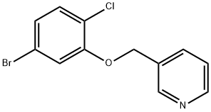 1-Chloro-4-bromo-2-(pyridin-3-ylmethoxy)benzene|3-(5-溴-2-氯苯氧基)甲基吡啶