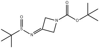 3-TERT-ブチルスルフィニルイミノアゼチジン-1-カルボン酸TERT-ブチル 化学構造式