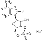 129735-00-8 モノホスホロチオ酸8-ブロモCAMP,RP-異性体ナトリウム塩
