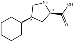 TRANS-4-CYCLOHEXYL-L-PROLINE Struktur