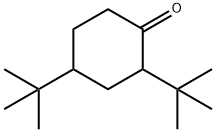 13019-04-0 2,4-二(1,1-二甲基乙基)环己酮