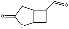 2-Oxabicyclo[3.2.0]heptane-6-carboxaldehyde, 3-oxo- (9CI)|