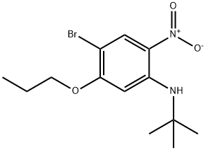 1-Bromo-4-(t-butylamino)-5-nitro-2-propoxybenzene 化学構造式