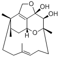 phomactin A Struktur