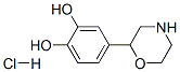 4-MORPHOLIN-2-YLPYROCATECHOL HYDROCHLORIDE Structure