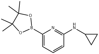 6-(CYCLOPROPYLAMINO)PYRIDINE-2-BORONIC ACID PINACOL ESTER Structure